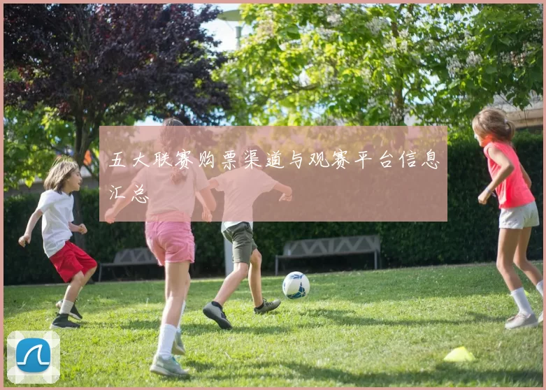 五大联赛购票渠道与观赛平台信息汇总